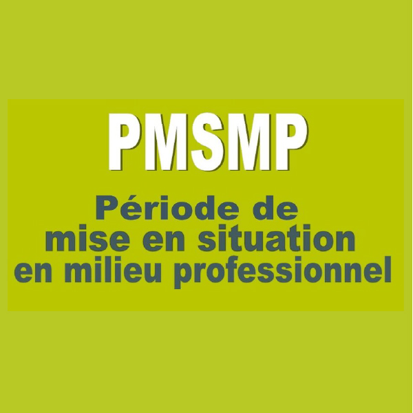 pmsmp